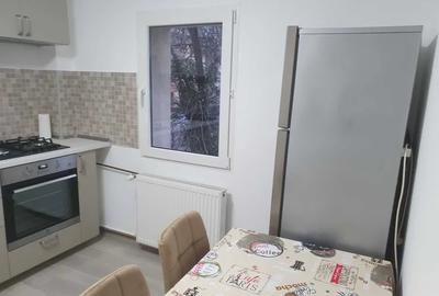 Garsonieră decomandată, mobilată în Alba Iulia - 5