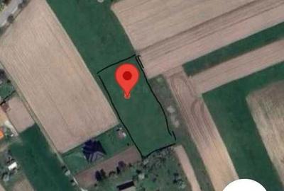 Spațiu comercial, în Horodnic