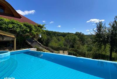 Casă cu 6 camere cu Teren 17000 Mp în Dumbrăvița - 13