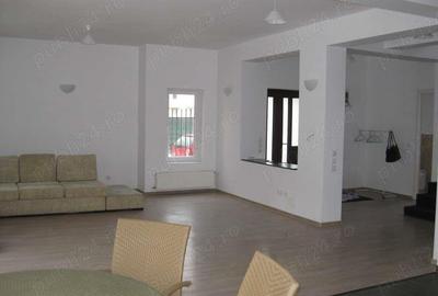 Vila individuala Noul Popesti Leordeni,pet friendly - 5