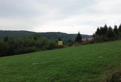 Teren 5023 mp In Bucovina Zona Manastirea Voronet De 07278 - 6