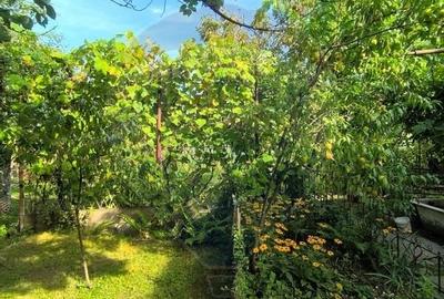 Casa de vanzare 3 camere Gherla - 38