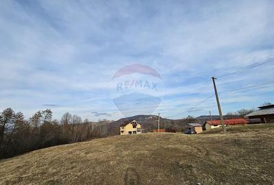 Teren Plaiu_Provita de Sus- intravilan 5373 mp_deschidere... - 3