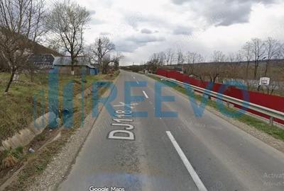 Vanzare Teren - Comuna Beresti-Tazlau, sat Bosoteni - 4