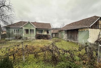 Casă cu 4 camere cu Teren 3000 Mp în Cășeiu - 12