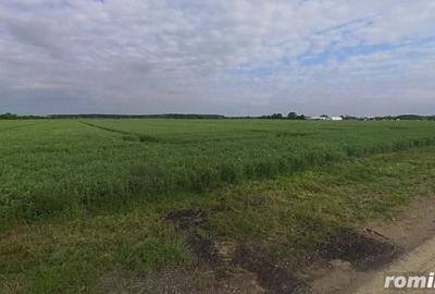 Teren de 25000 mp, în Moara Vlăsiei - 3