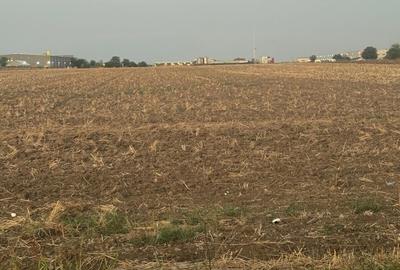 Teren în Brănești - 1