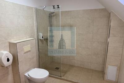 De inchiriat apartament 2 camere/ Centrul Istoric - 14