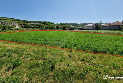 Teren intravilan 2000 mp - Popesti (Baciu) Ideal pentru casa, gradina si livada - 5