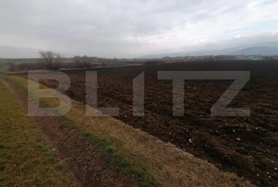 Teren extravilan 21300 mp zona Vintu de Jos - 3