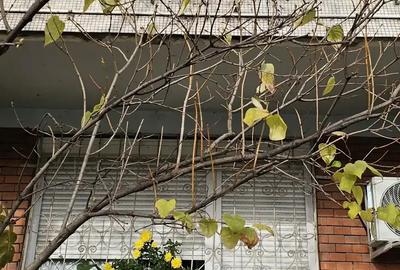 CONFORT 1 DiN CARAMIDA.Cantemir Oradea.Apart.2 camere Oradea,Cantemir,parter inalt,52 mp utili - 2