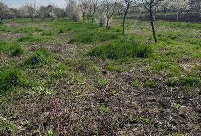 Casă cu 3 camere în Livada - 1