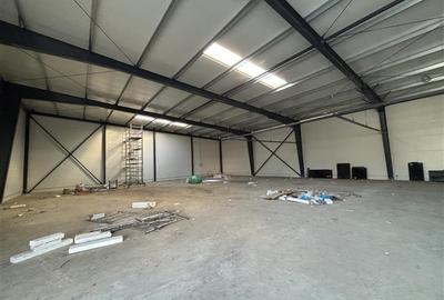 Spațiu industrial, de 600 mp, în Theodor Pallady - 10