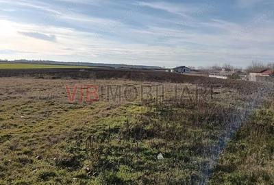 Teren de 16600 mp, în Bucovăț (Remetea Mare) - 3