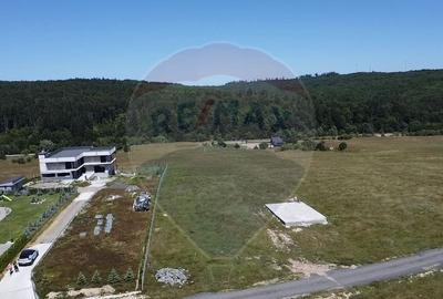 Teren 3,757mp Paltinoasa / Strada principala - 2