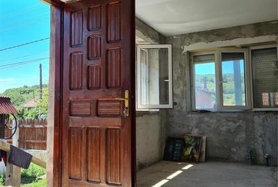 Casă cu 2 camere în Românași - 10
