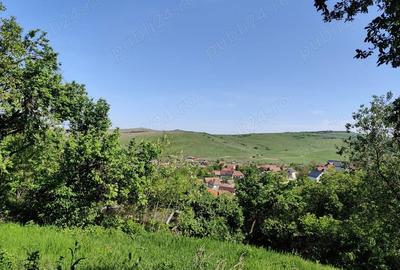 Teren de 1400 mp, în Dezmir - 1