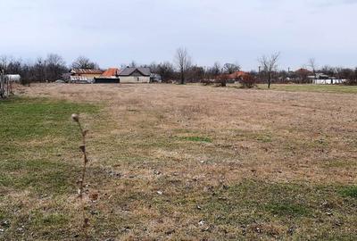 TEREN INTRAVILAN POLOVRAGI - STRADA IZVOARELE - 3