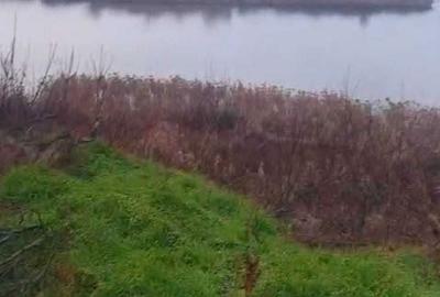 Spațiu comercial, în Ciocănești - 6