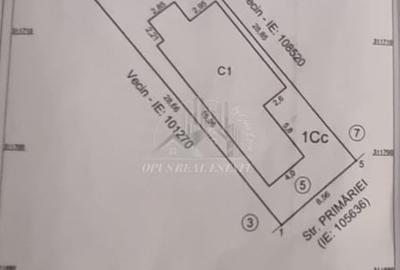 Casa Ovidiu (str.Primariei) - 10