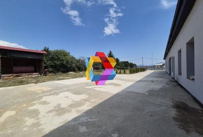 Spatiu industrial- 1240 mp  # plus-imo.ro - 3