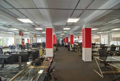 0% comision! Inchiriere birouri Basarabia, 907 - 3634 mp - 5