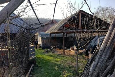 Casă cu 3 camere în Licurici - 2