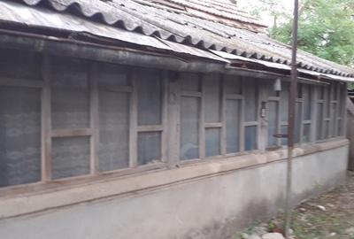 Casa batraneasca Sageata Buzau - 2