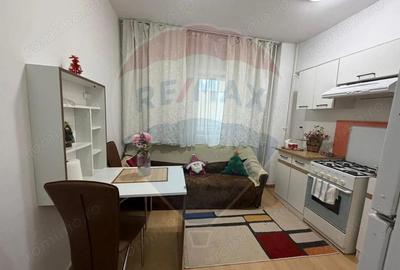 Garsonieră semidecomandată în Calea București - 6