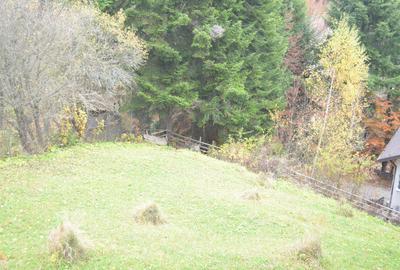 Teren de 1300 mp, în Valea Alba - 4