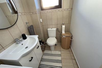 Casa moderna, frumos amenajata in zona Bogdanestilor - 11