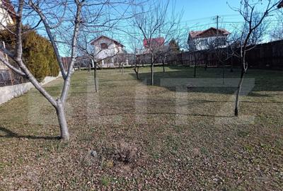 Teren Intravilan Blejoi, 1000mp , Oportunitate ! - 7