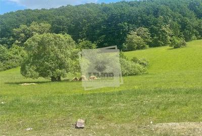 Casa 4 camere 2 bai balcon si gradina in Rasinari - 5