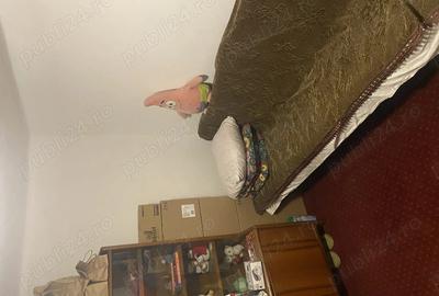 Casa de vanzare necesita cateva renovari - 6