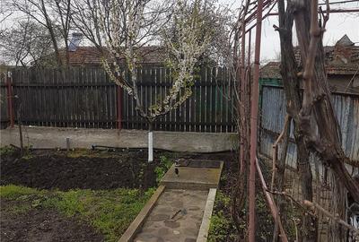 Casă cu 4 camere cu Teren 1500 Mp în Valea Părului - 7