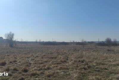 Teren de 500 mp, în Brestei - 3