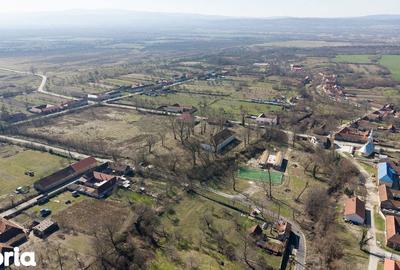 Casă cu 8 camere cu Teren 7235 Mp în Traian Vuia - 10