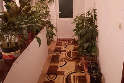 Garsonieră în Bălcescu - 2