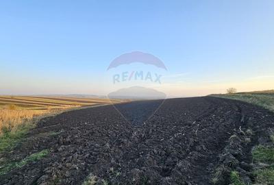 Teren agricol extravilan de 30077 mp, în Stroiești - 12