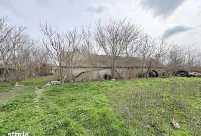 Casă cu 4 camere cu Teren 3747 Mp în Pantelimon - 5