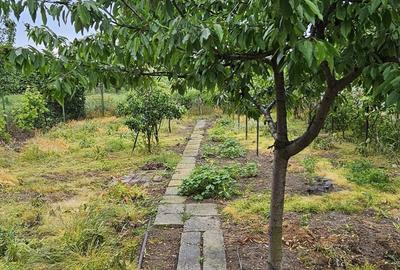 Casă cu 4 camere în Sânnicolau Mare - 1