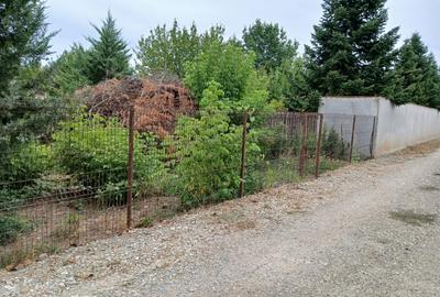 Vladiceasca, Snagov - 9