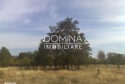 Spațiu comercial, în Polovragi - 6