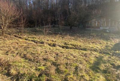 Spațiu comercial, în Central - 6