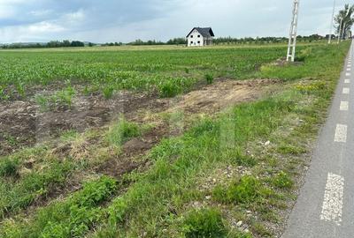 Teren intravilan ,4900 mp , 25ml front, Fratautii Vechi, Radauti - 5