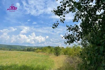Teren de vanzare in Meziad. - 5