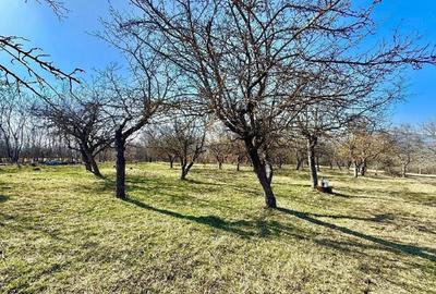 Casă cu Teren 2500 Mp în Central - 1
