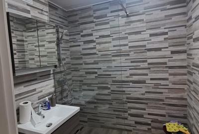 Apartament cu 2 camere semidecomandat, mobilat în Dacia - 7