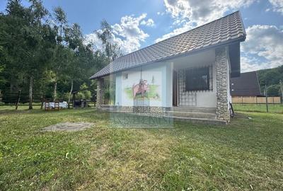 Casa de vacanta - zona Valea Bozom - Apata jud.Brasov - 3