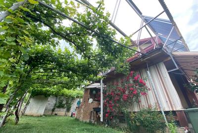 Casă individuală cu 5 camere cu Canalizare în Crucea de Jos - 10